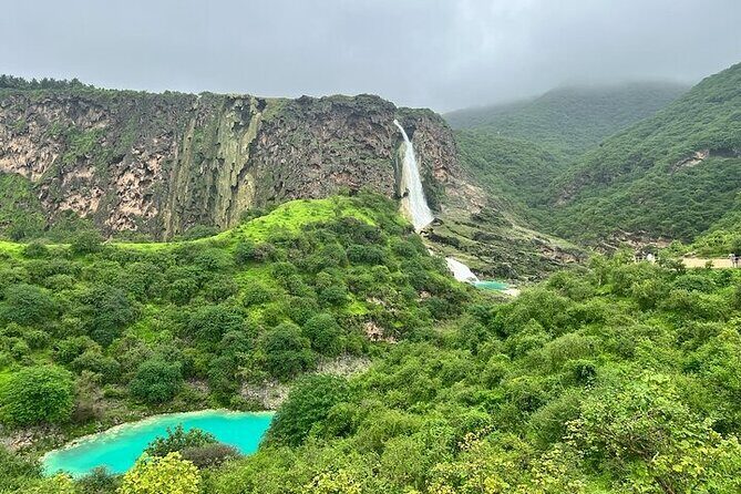 East Salalah Mountain Safari - Baobab trees: a pause that feels oddly special