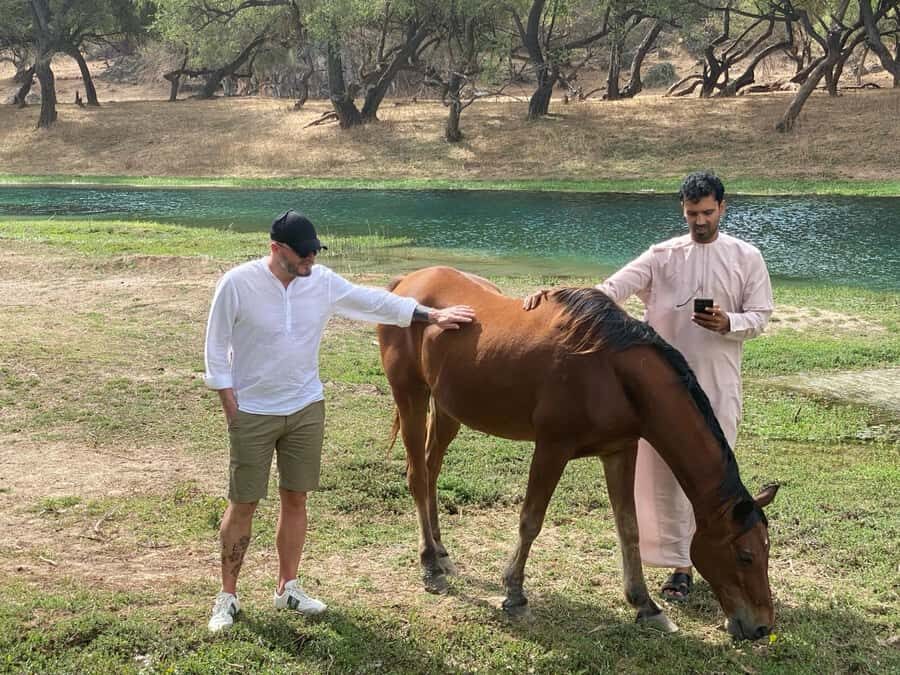 East Salalah Tour by VisitSalalah - Wadi Darbat: waterfalls, caves, camels, and picnic time