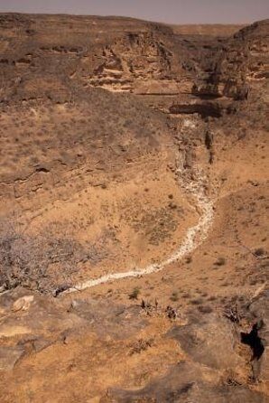 Empty Quarter & Lost City from Salalah - Key things I’d plan around before you go