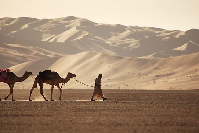Empty Quarter & Lost City from Salalah - Price and value: is $535 fair for a group of up to 4?