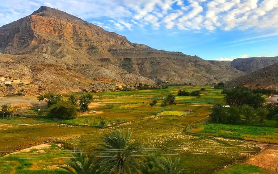 From Dubai: Musandam Khasab Tour with Boat Trip and Safari - Who this trip suits best (and who should think twice)