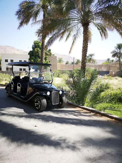 From Jebel Akhdar: Al Aqur Village Cultural Cart Tour - Why this 35-40 minute cart tour is such a smart Nizwa add-on