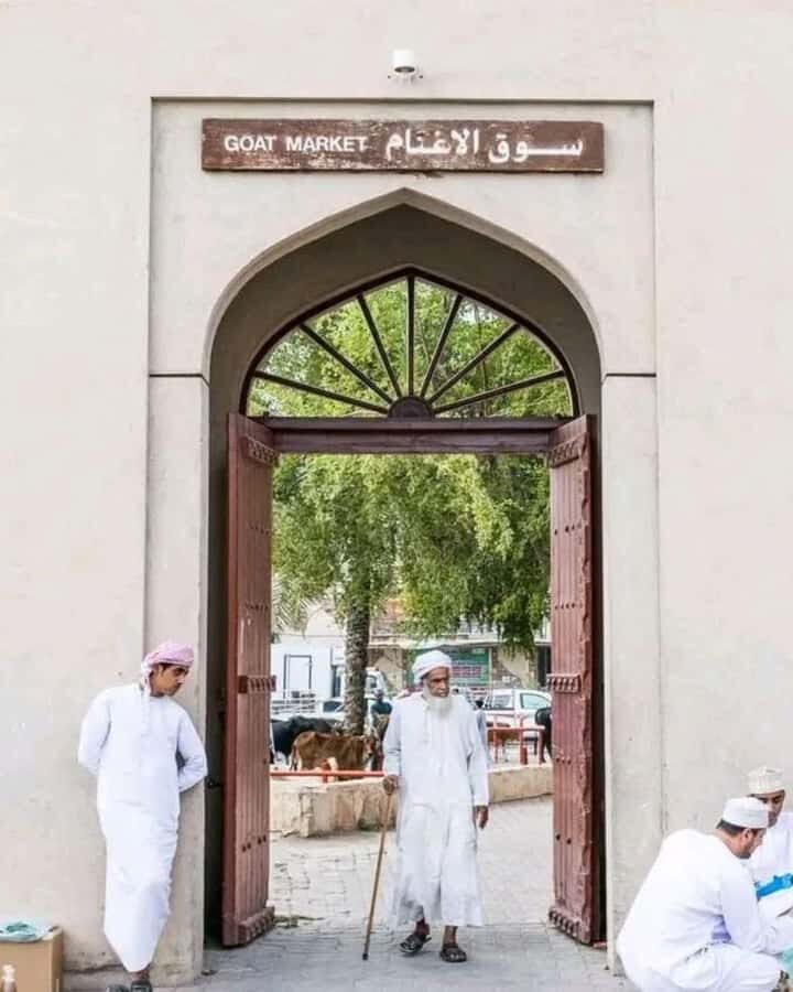 From Muscat: 3-Days Nizwa, Desert, Turtle, Wadi Shab - Wadi Bani Khalid swim and Sur’s dhow workshop: Water and wood craftsmanship