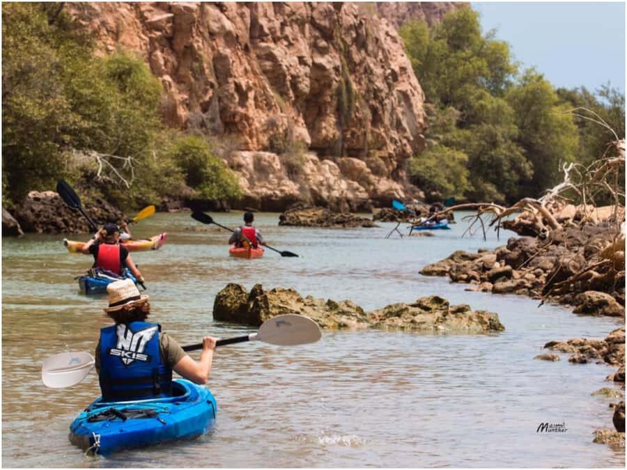 From Muscat: Al Qurum Beach Sunset Kayaking Experience - Key things that make this sunset kayak stand out