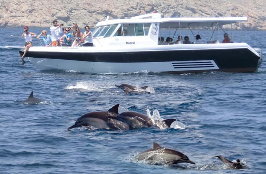 From Muscat: Discover Dolphins Day Trip - How the Guide Turns a Sighting Into a Learn-Something Moment