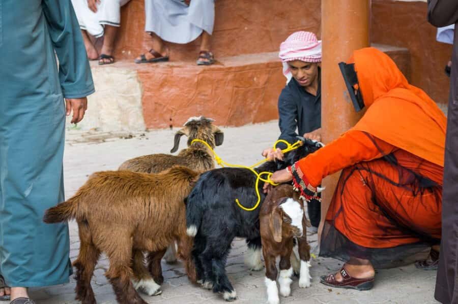 From Muscat: Full-Day to Nizwa-Misfat Al Abriyeen-Al Hamra - Al Hamra: a short, guided look at an ancient town