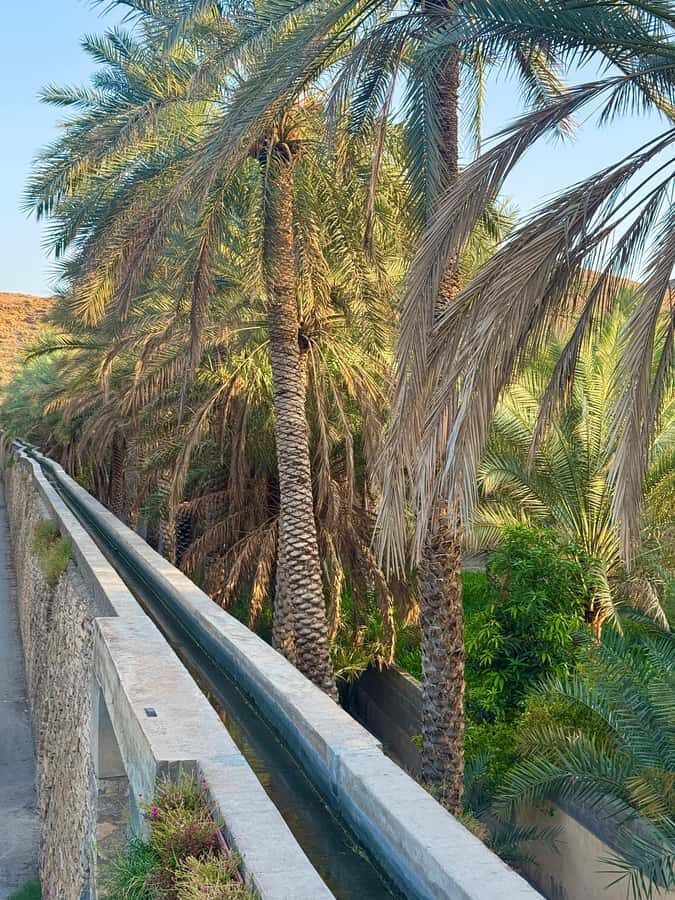 From Muscat: Nizwa Fort, Souq, falaj & Museum Full Day Tour - Key things to know before you go