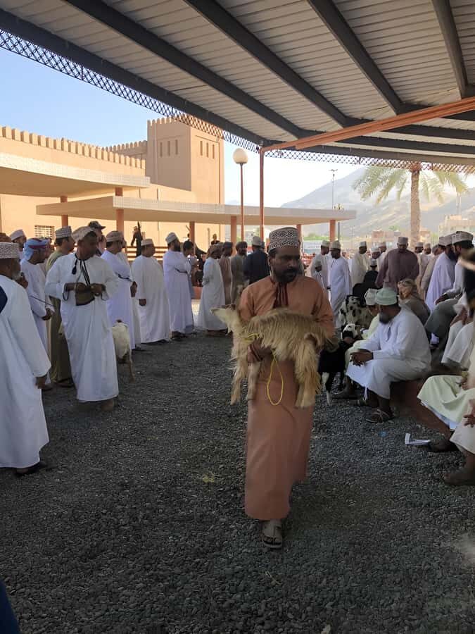 From Muscat: Nizwa & Oman Across Ages Museum - Oman Across Ages Museum: Oasis Life, Sea Routes, and Oman’s Timeline