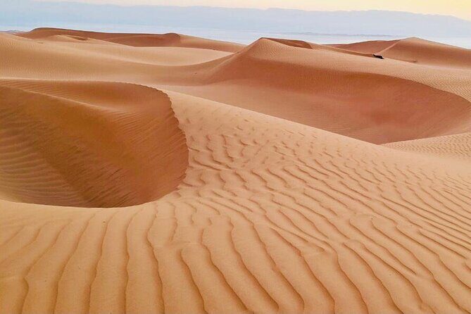 From Muscat: Wadi Hawar and Wahiba Sands Desert Tour - Guide Quality Makes the Difference