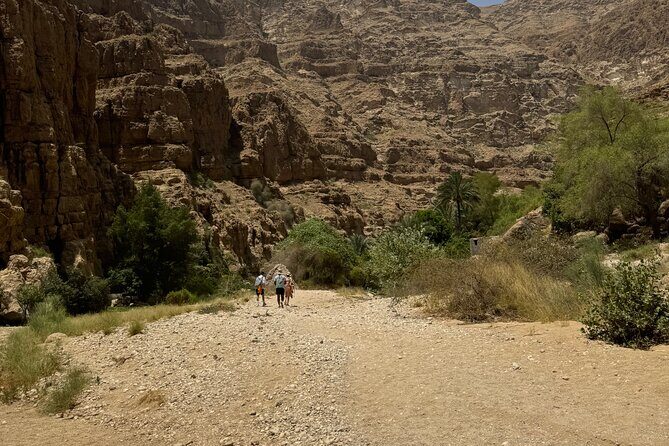 From Muscat Wadi Shab and Bimmah Sinkhole Tour - The sinkhole stop: a quick shift from water to geology