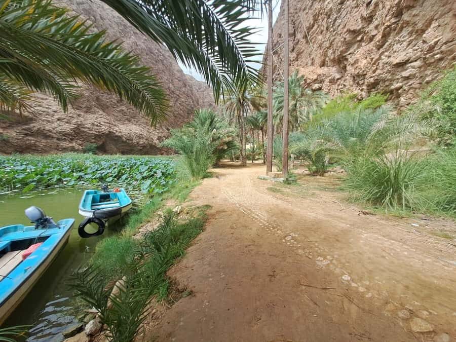 From Muscat: Wadi Shab Expedition - Wadi Shab hike: 3.5 hours through the gorge
