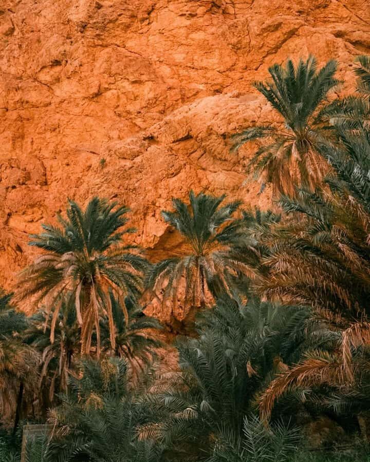 From Muscat:Private Wadi Shab and Bimmah SinkHole Tour - Picnic time in the wadi: the calm middle of an active day
