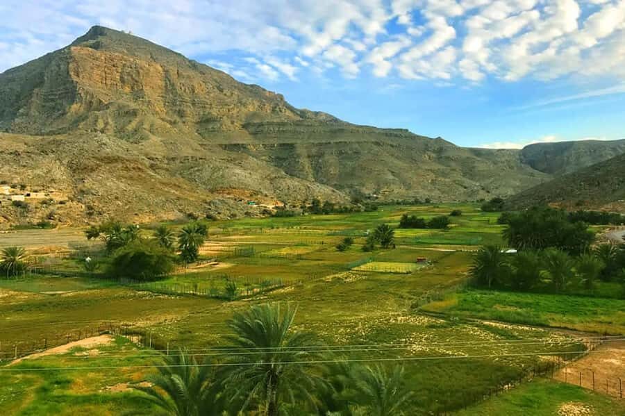From Ras Al Khaima : Dolphin Watching and Jabal Harim Safari - Price and value: what you get for about $760 per group