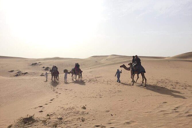 Full-Day Desert Safari Jeep Tour in Ash Sharqiyah Governorate - Small group energy: why max 8 changes your experience