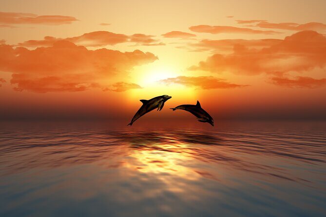 Full day Dhow: Khasab, Musandam: Dolphins, Snorkeling & Fjords - Khor Sham canyon hike option: choose your adventure level