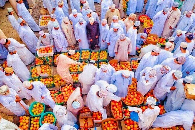 Full Day Private Historical Tour from Muscat to Nizwa Region - Who should book this tour (and who should reconsider)