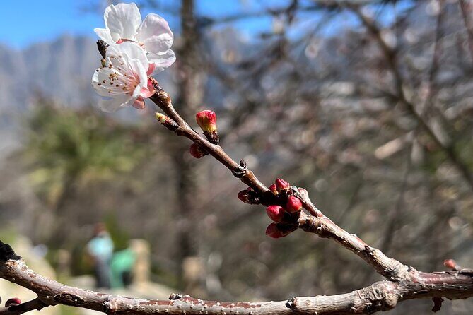 Full Day Tour from Wakan to Jebel Akhdar Trekking - A Full-Day Trek That Still Feels Organized (About 10 Hours)