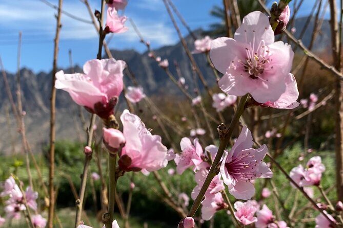 Full Day Tour from Wakan to Jebel Akhdar Trekking - Practical Tips That Make the Day Easier