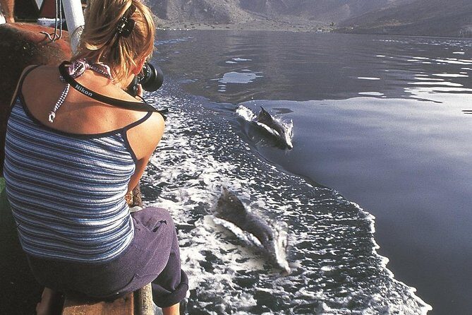 Half Day Dolphin Watching Musandam Dhow Cruise - What’s included on board: towels, refreshments, and real facilities