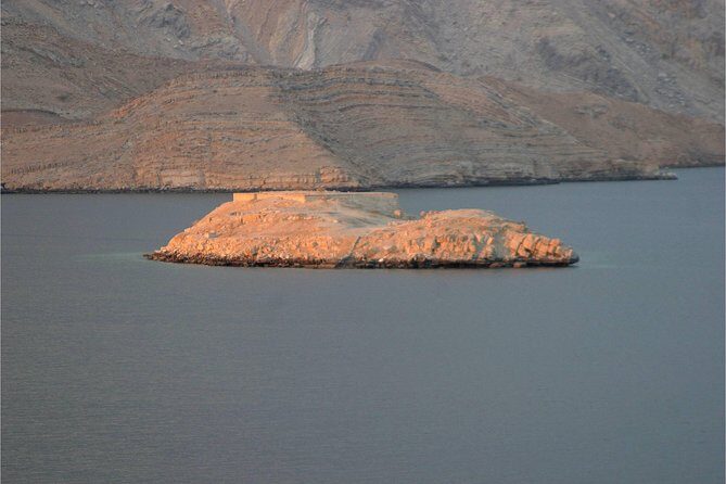 Half Day Dolphin Watching Musandam Dhow Cruise - Price and value: is $55 a fair deal for Musandam?