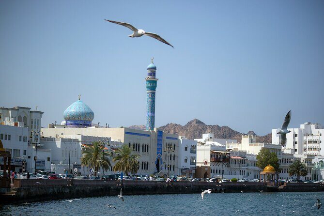 Half-Day Private Muscat City Tour 4 Hours - Old Muscat Gate and clay watchtowers: a quick climb for big views
