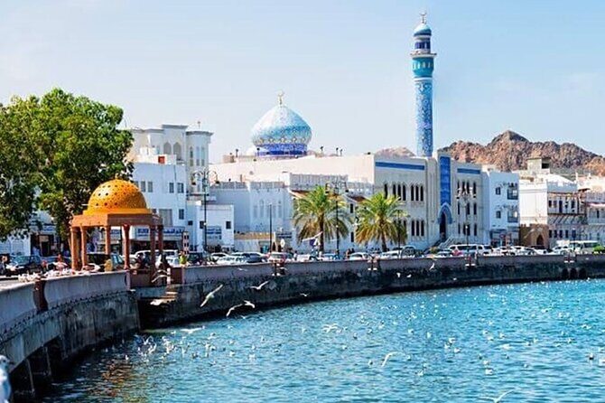 Half-Day Private Tour in Muscat City Oman - Royal Opera House area and ministries drive-by: culture without the long detour