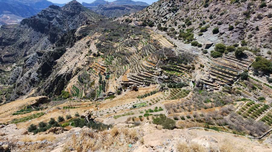 Historical City of Nizwa - Jabal Akhdar (Green Mountain): ruins, viewpoints, and the short-hike reality