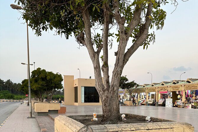 Historical Salalah City Tour - Souq Shati Al Hafa: frankincense-market style shopping without the chaos