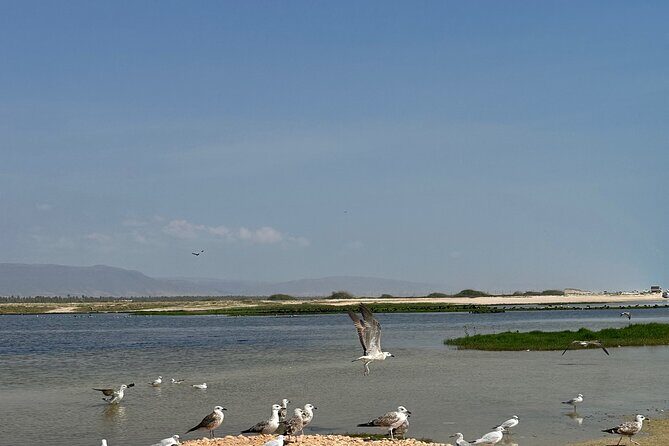 Historical Salalah City Tour - Coconut Village: a refreshing pause between sights
