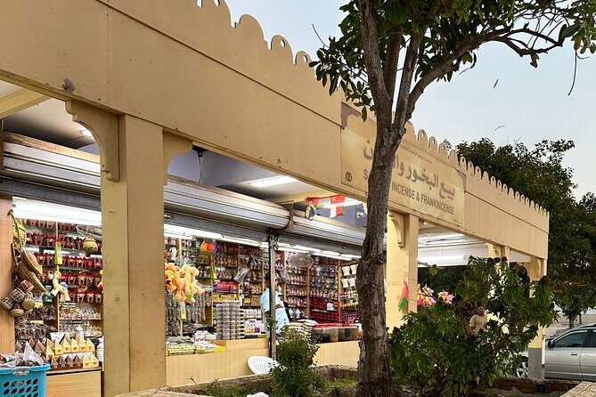 Historical Salalah City Tour - What you’ll pass on the drive: Sultan Qaboos Palace, plantations, souqs and towers