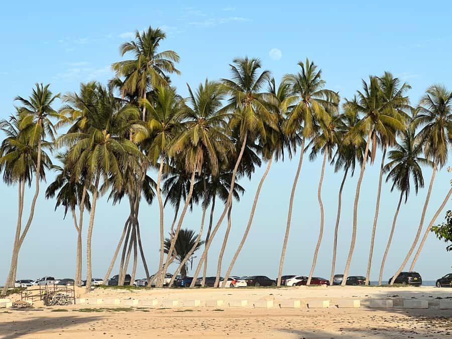 Historical Salalah City Tour with Culture, Food & Shopping - Key things I’d plan around