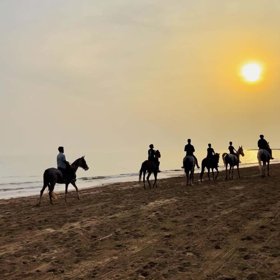 Horse riding in muscat beach - Getting There: Meeting Point, WhatsApp Video, and Time Changes