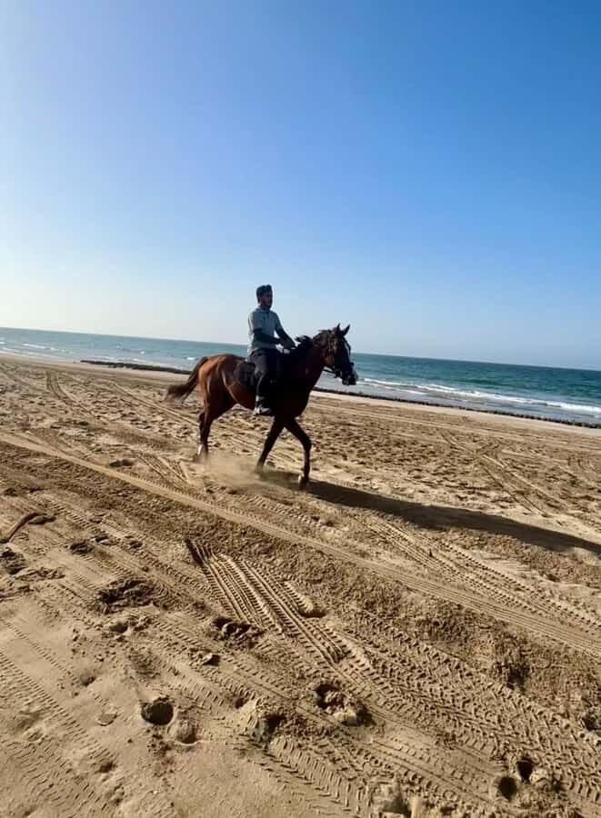 Horse riding in muscat beach - What’s Included, What Isn’t, and What to Pack