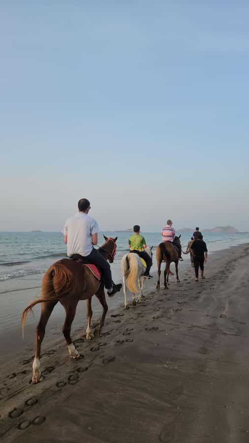 Horse Riding Muscat | Beach Horse Riding - Al Sawadi Beach horse riding: why this stretch of coast works