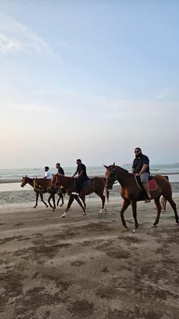 Horse Riding Muscat | Beach Horse Riding - What to bring, what not to bring, and how to dress for sand