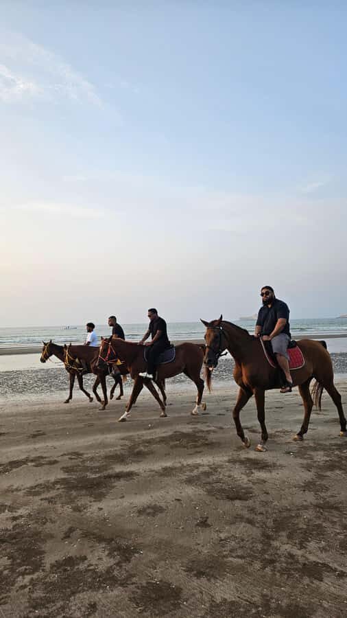 Horse Riding Muscat | Beach Horse Riding - Should you book Horse Riding Muscat’s Al Sawadi Beach ride?