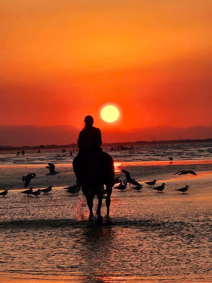 Horse Riding Oman - 2 hour ride - Key Highlights You’ll Actually Care About