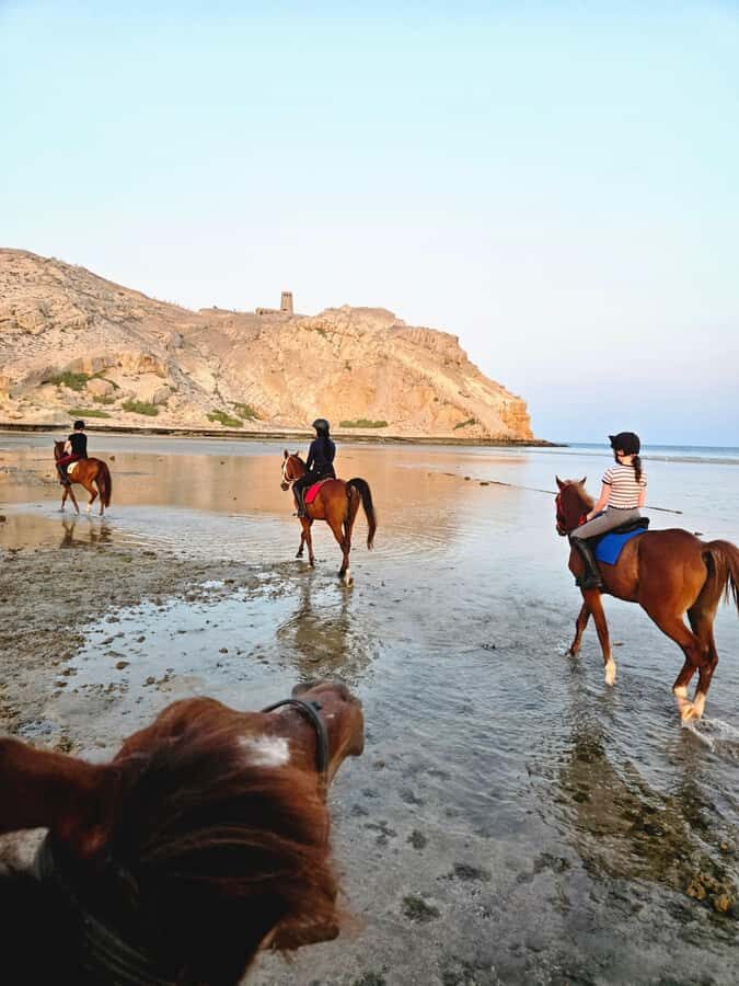 Horse Riding Oman - 2 hour ride - Sunrise vs Sunset: The Same Ride, Different Feel