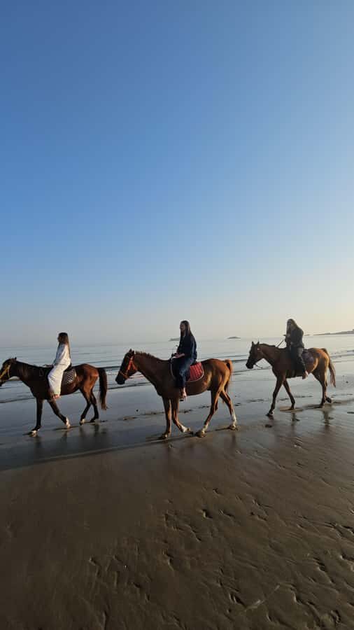 Horse Riding Oman - 2 hour ride - Meeting Point at Al Sawadi Resort: How to Find the Start