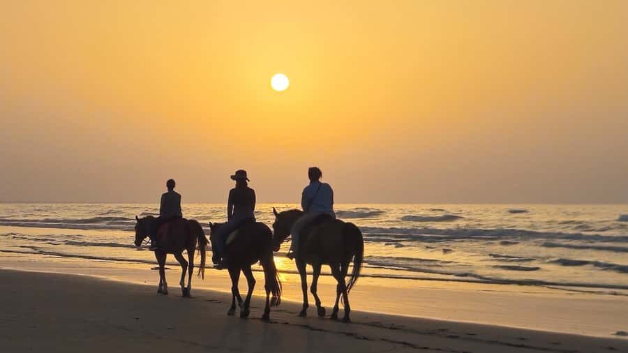 Horse Riding Oman - 2 hour ride - Price and Value: Is $140 Worth It?