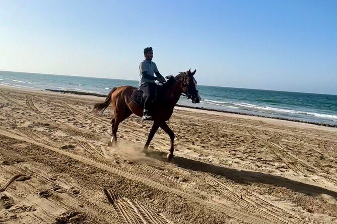 Horse Riding on the beach - Where you meet in Muscat (and how to avoid stress)