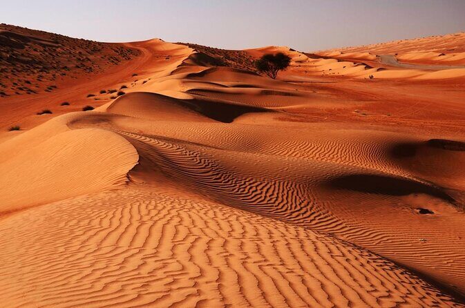 Hot Air Balloon Tour at Wahiba Sands - Key things I think you’ll care about most