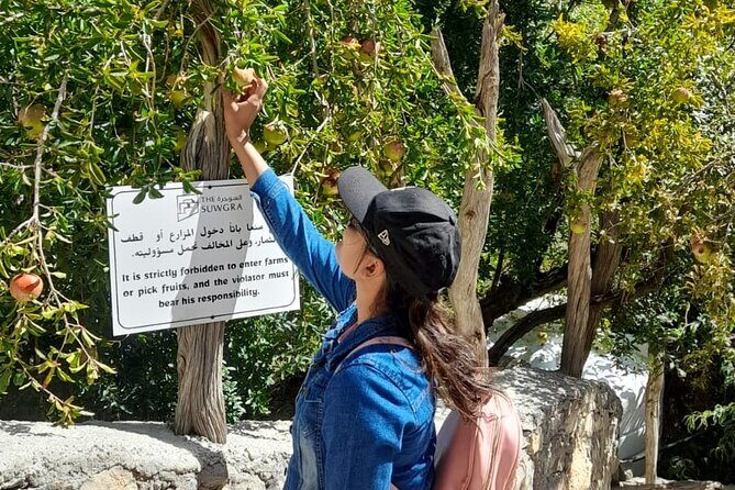 Jebel Akhdar Al Suwjara - Birkat Al Mouz Ruins - Private Full Day Tour - Key highlights you’ll remember
