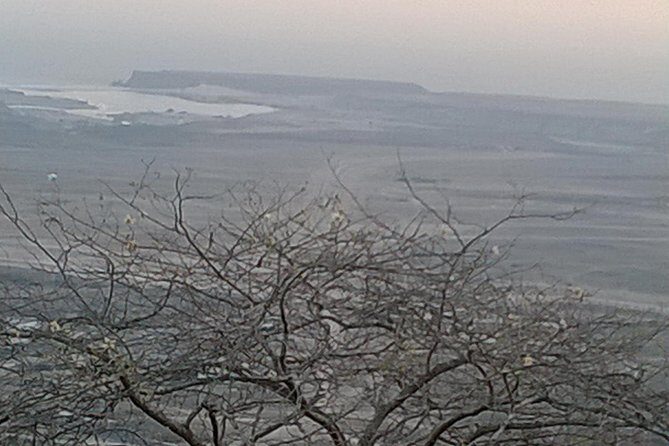 Jebel Safari - Tour della montagna - From Governor’s House to Dhow Boats: What This Day Really Delivers