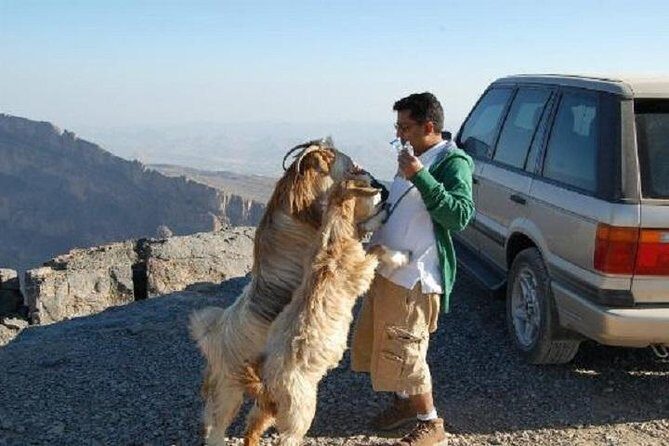 Jebel Shams Day Trip: The Grand Canyon of Oman - Muscat to Nizwa: the smart cultural warm-up