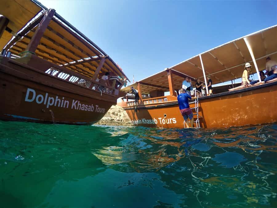 Khasab: Half-Day Dhow Cruise with Dolphin Watching - Dolphin Watching in Khasab: What You Should Look For