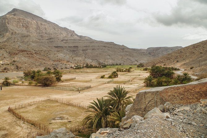 Khasab Musandam Mountain Safari - Khawr Najd: where the mountains squeeze toward the sea