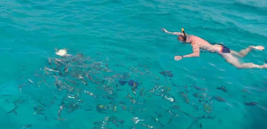 Khasab Musandam |Telegraph Island |Dhow Cruise | Dolphins - Khasab to Khor Shimm: the dhow ride you’ll remember