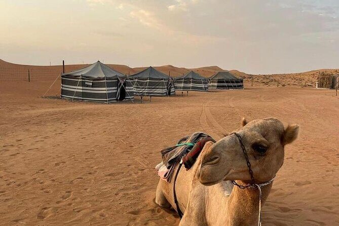 Luxury Overnight Desert Safari in Salalah - Why This Overnight in Salalah Feels Different Than a Day Trip