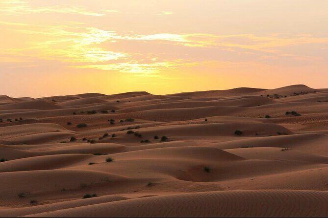 Luxury Sunset Desert Safari - Wadi Dawkah: frankincense trees and a slower start to the day
